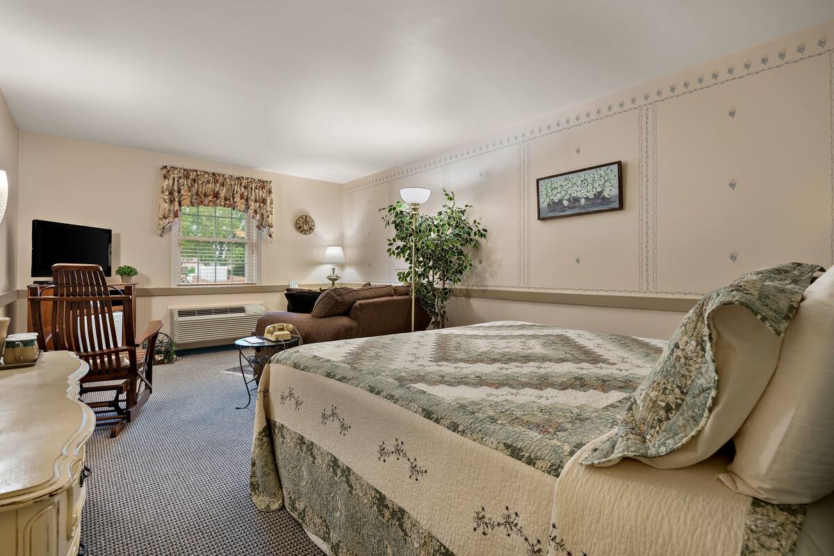 A bedroom with a bed, a desk, a chair, a TV, a plant, and a window.