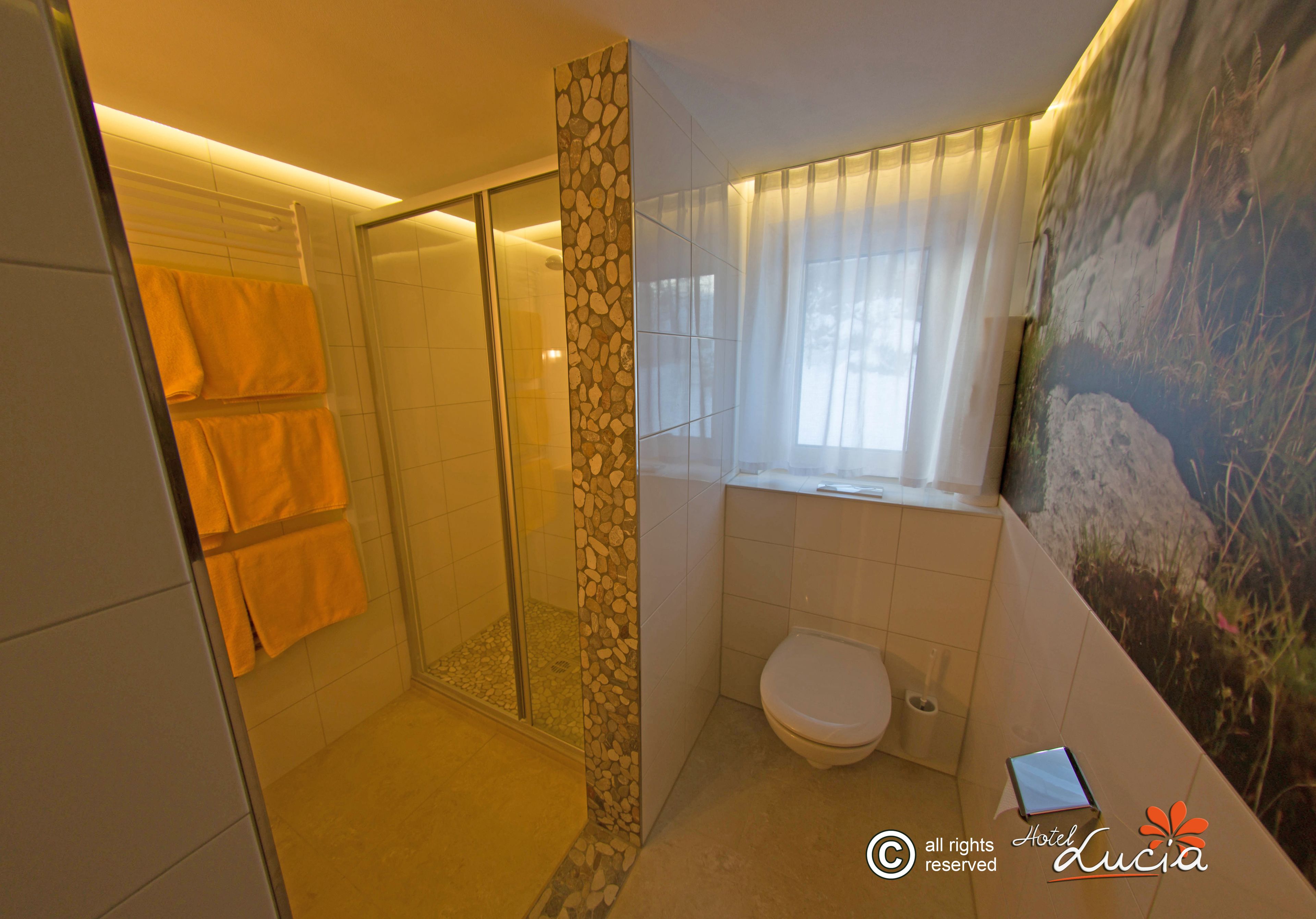 Une salle de bain avec une douche à parois de verre, des toilettes et une fenêtre ornée de rideaux légers.