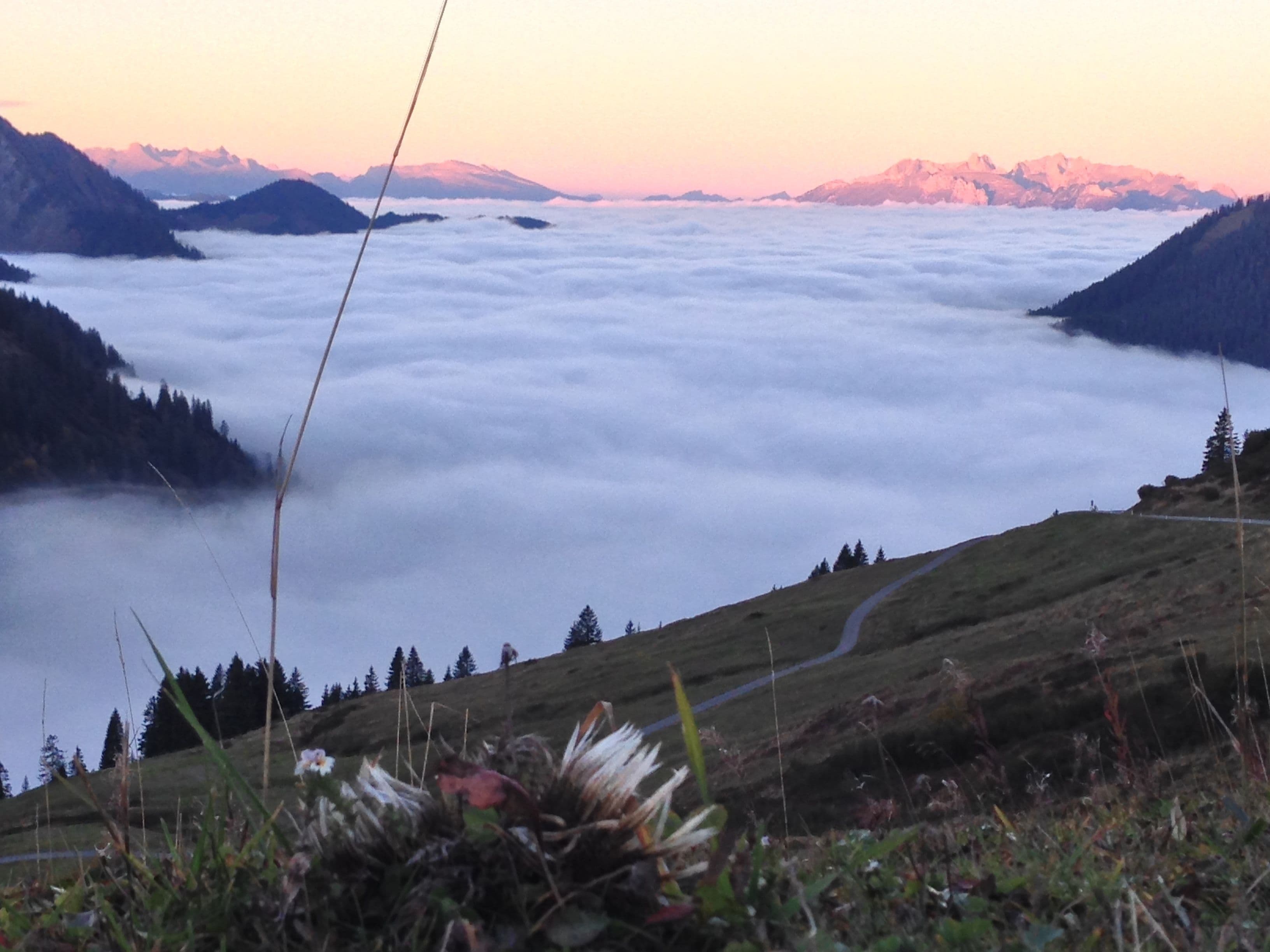 A mountain landscape with a path leading through a valley of clouds, surrounded by forested hills.