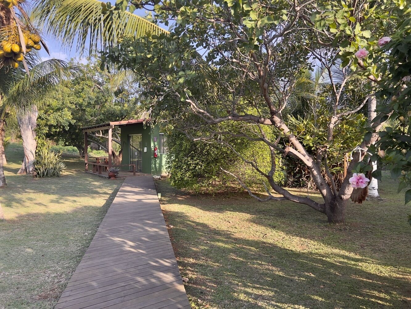 Un sendero conduce a una construcción cubierta en un jardín con árboles y un edificio pequeño.