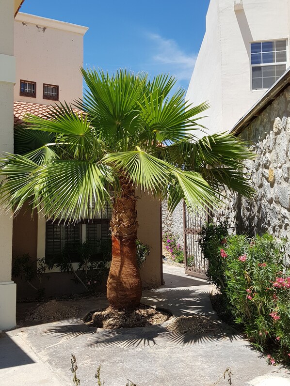 Front of property - Residencia a 100 mts del consulado (Ciudad Juárez)