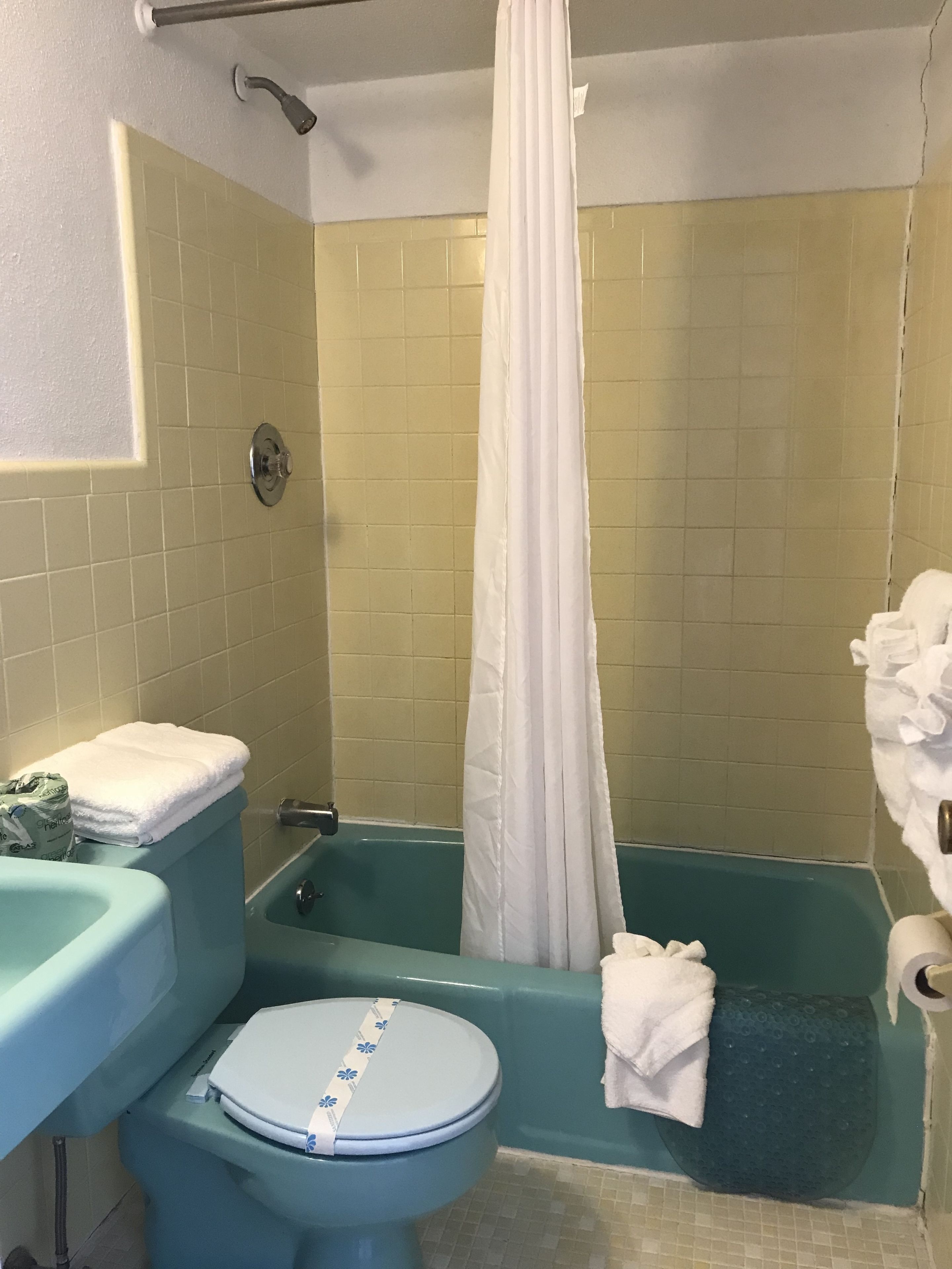 combined shower/bathtub, free toiletries, hair dryer, towels