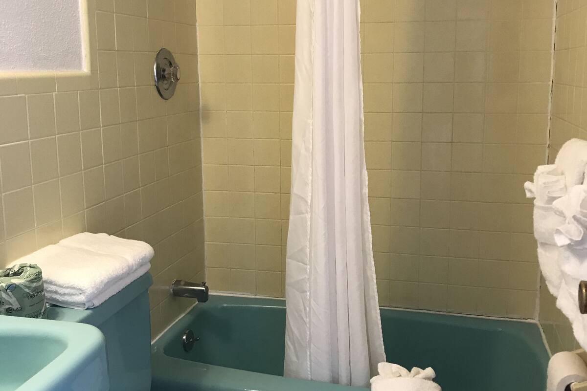 combined shower/bathtub, free toiletries, hair dryer, towels