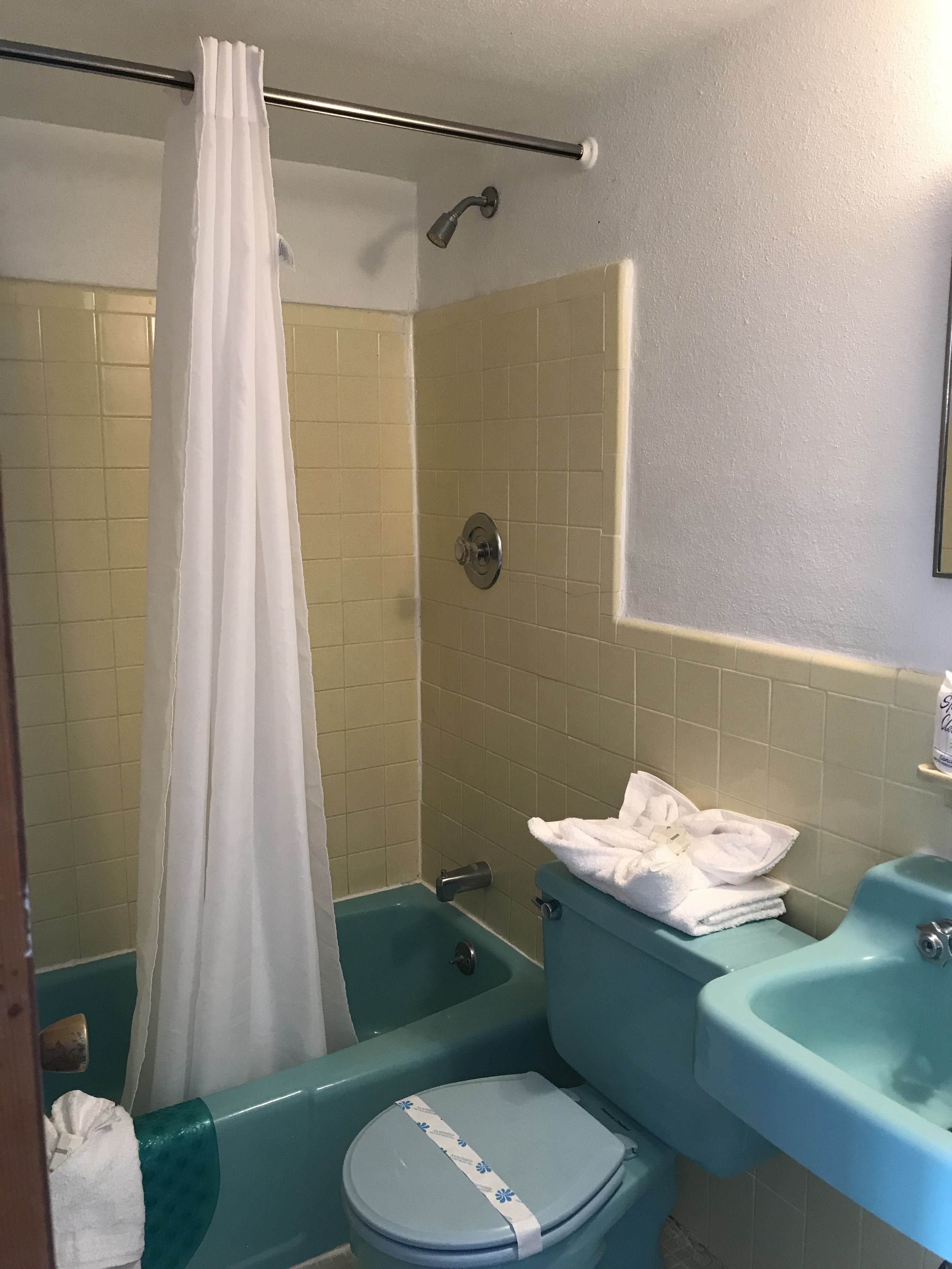 combined shower/bathtub, free toiletries, hair dryer, towels