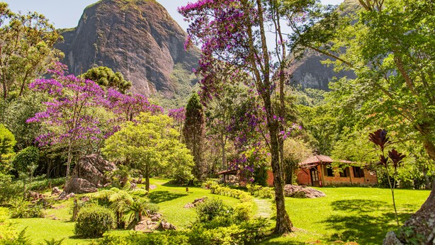 A lush garden with a small brick building, surrounded by greenery and a large mountain in the background. - Pousada das Araras (Petrópolis)