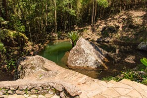 A stone pathway leading to a pond surrounded by dense forest. - Pousada das Araras (Petrópolis)