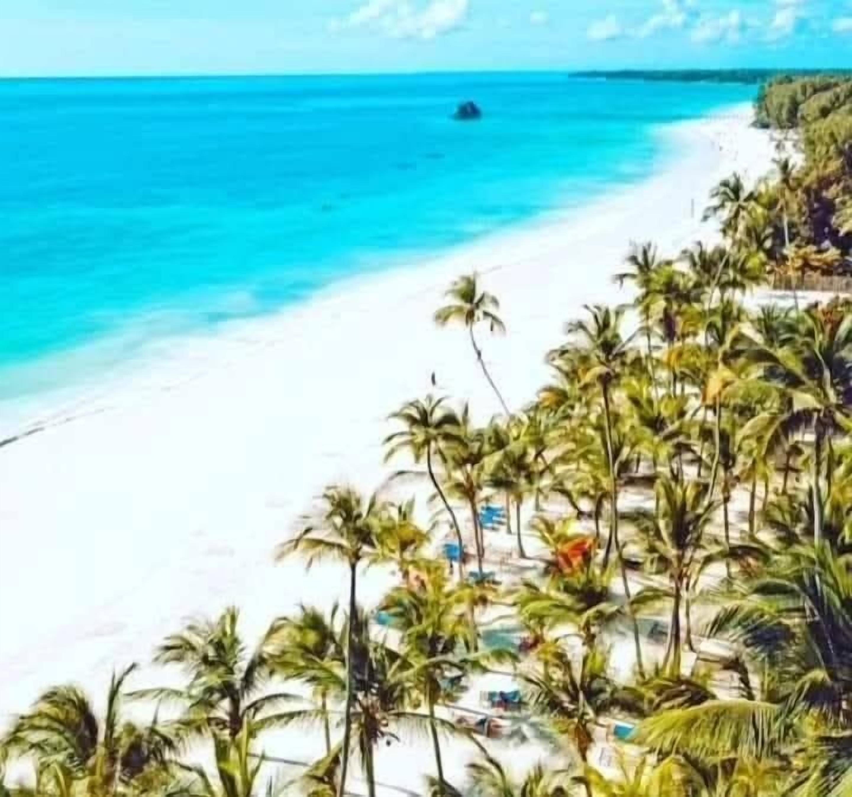 Une plage de sable blanc, avec une eau d’un bleu limpide et des palmiers.