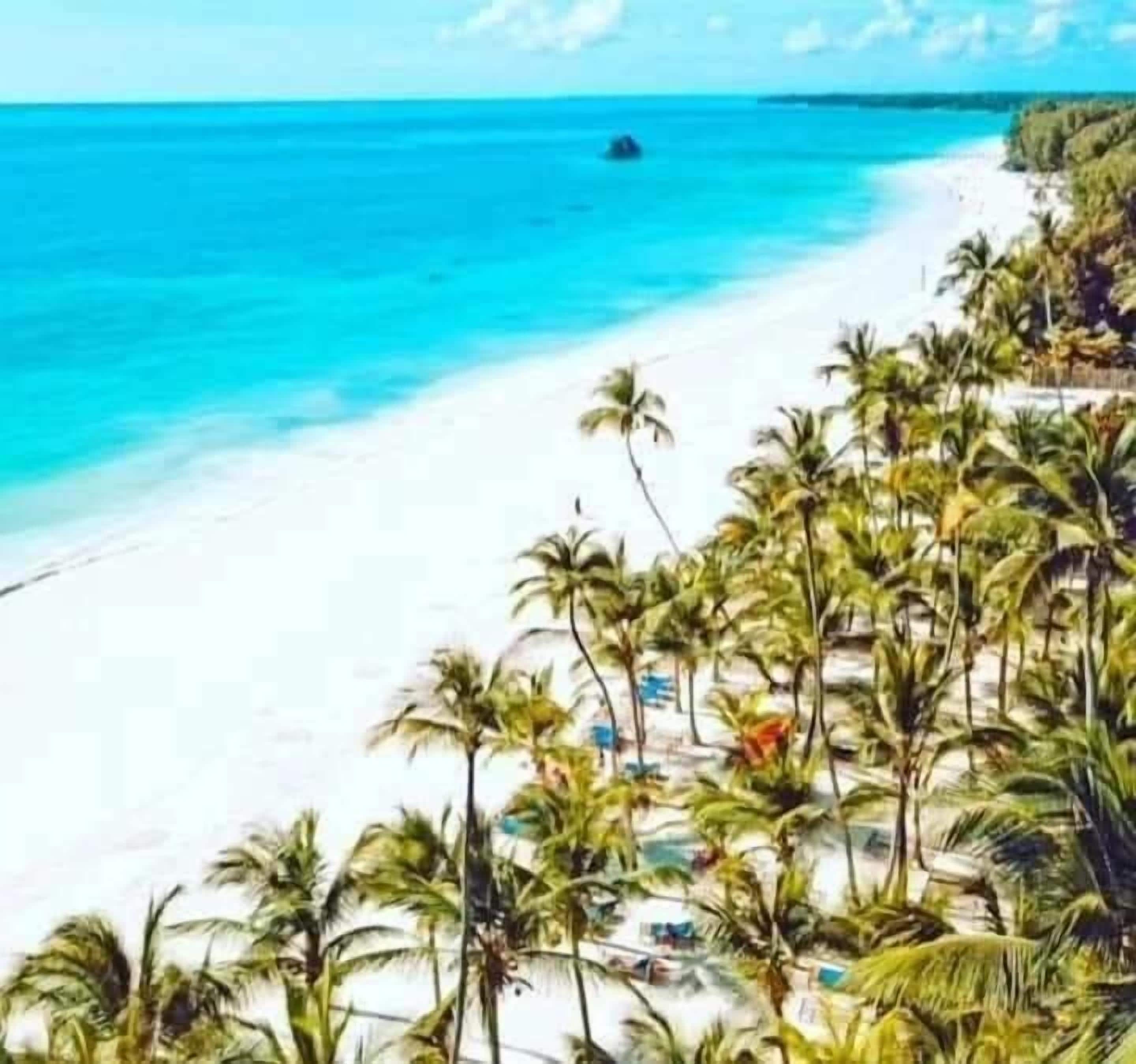 A beach with white sand, clear blue water, and palm trees.
