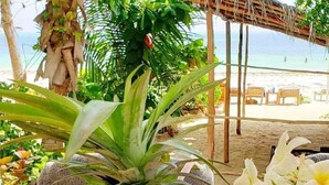 Un cadre tropical avec vue sur la plage, une structure à toit de chaume et une grande variété de fruits et de fleurs.