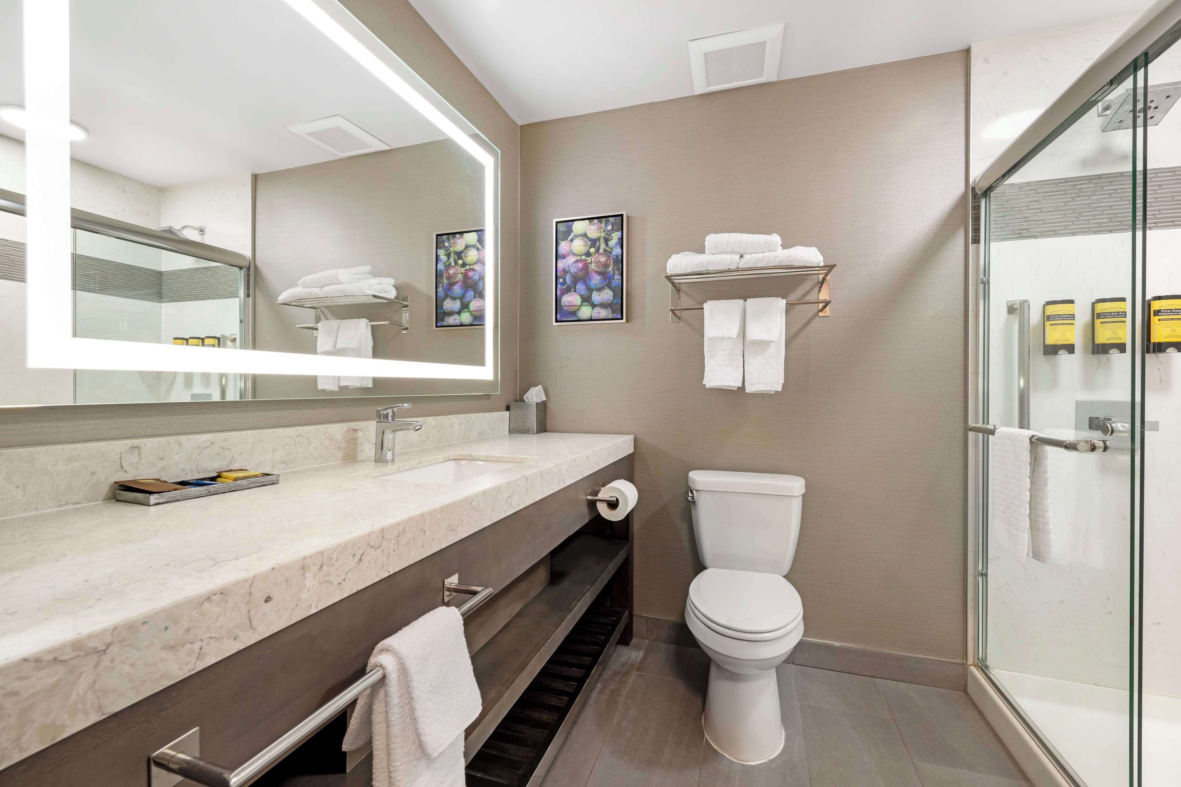 suite, 1 king bed, non smoking, refrigerator & microwave | bathroom | deep-soaking bathtub, free toiletries, hair dryer, towels