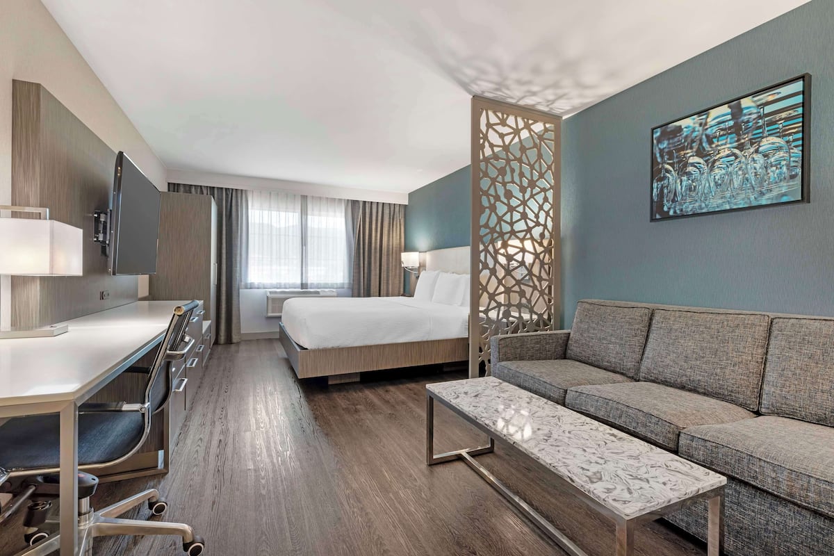 Una habitación de hotel con cama, sofá, escritorio con silla, televisor y un separador decorativo.