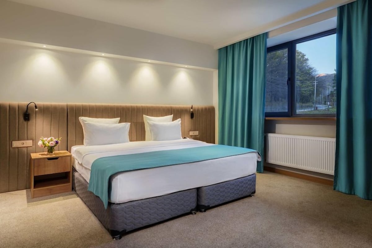 Egyptian cotton sheets, premium bedding, in-room safe, desk