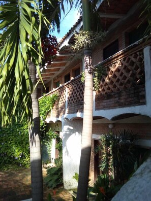 Blick auf den Garten