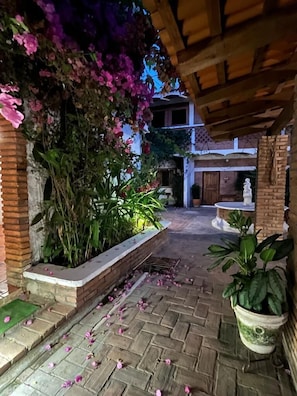 Terraza o patio