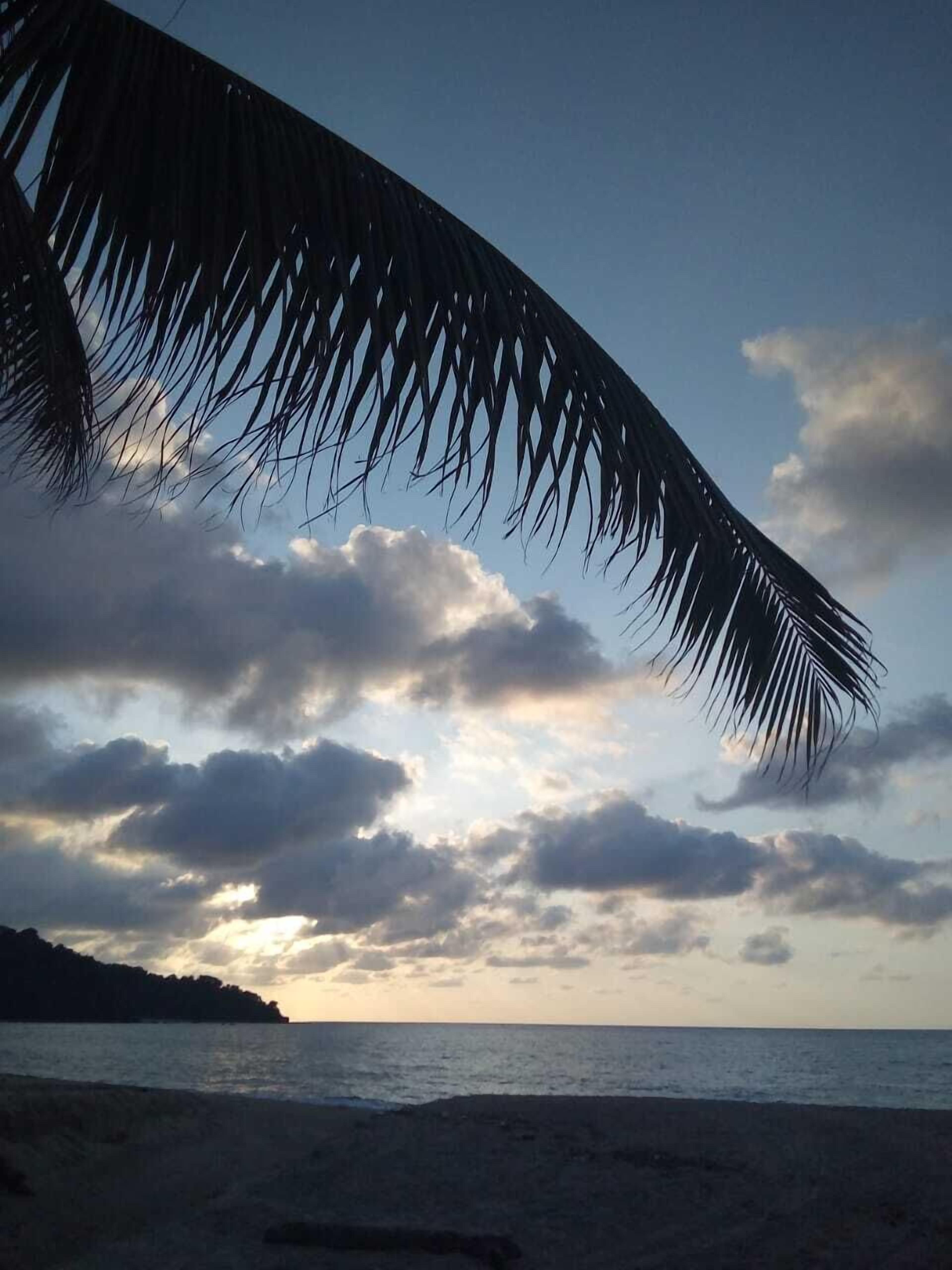 Playa en los alrededores, playa de arena blanca, camastros y sombrillas 