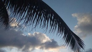 Beach nearby, white sand, sun loungers, beach umbrellas - Chata Hosteria (Lo de Marcos)