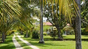 A pathway lined with palm trees leading to a building with a red roof. - Cozy Coco (Negril)