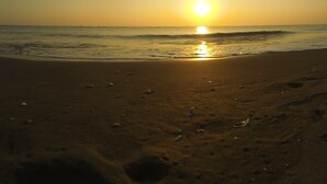 해변