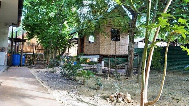 Uma casa com estrutura de bambu, rodeada por árvores e um caminho de cascalho.