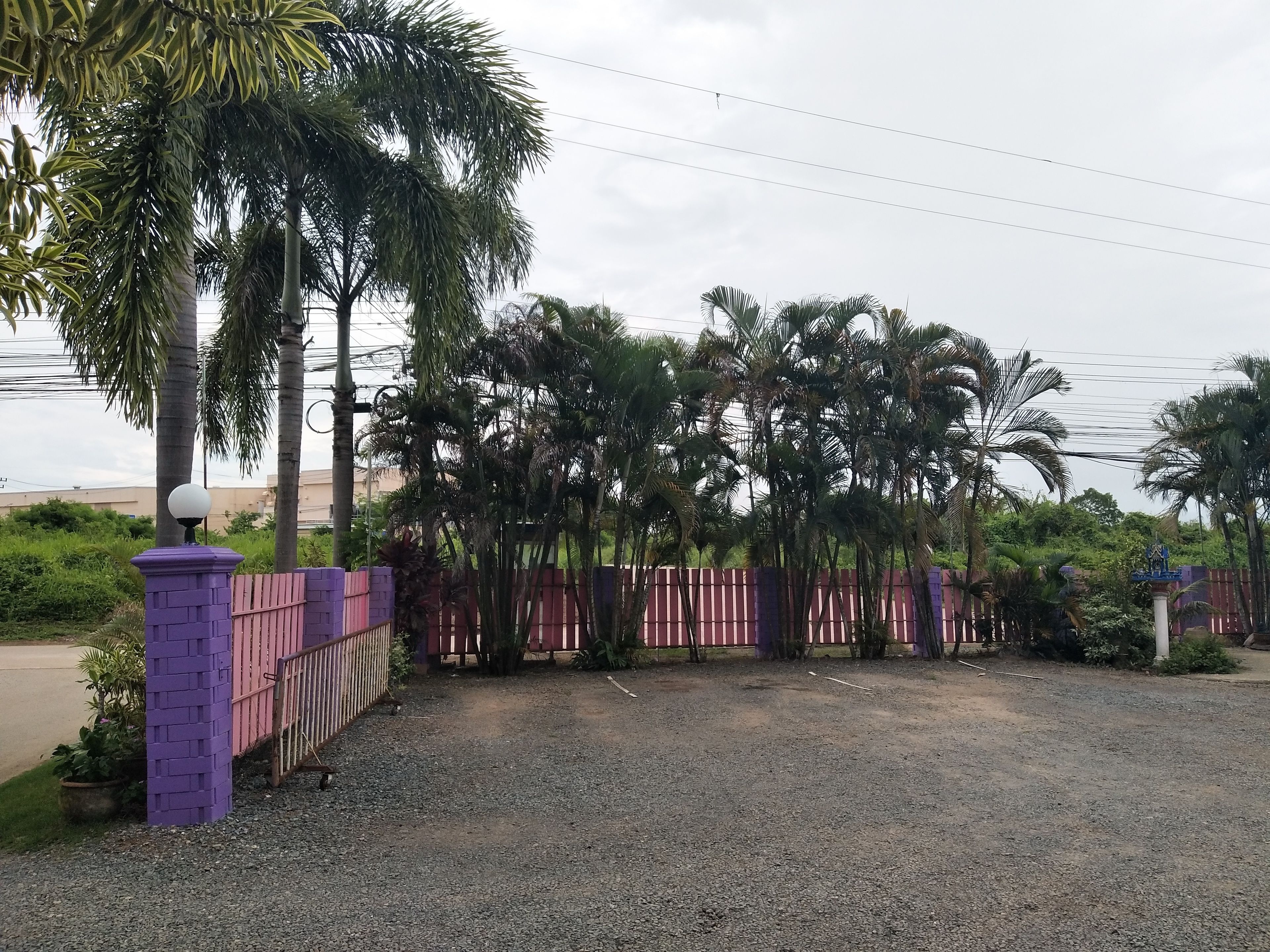 A gated area with a gravel path, surrounded by palm trees and a fence.
