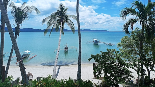 Een strand met helder turquoise water, palmbomen en boten.
