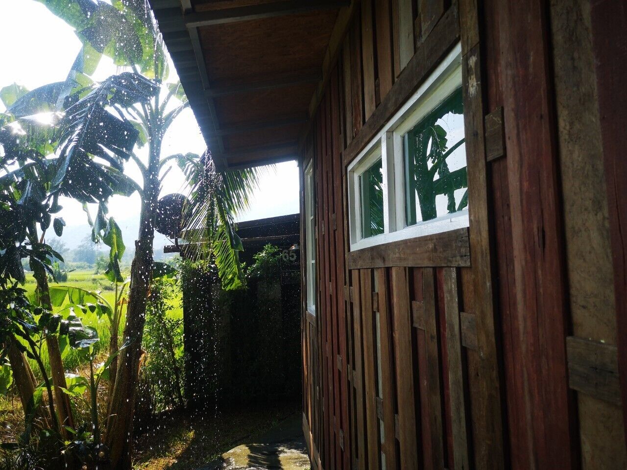 classic tree house, 1 queen bed, non smoking, garden view | minibar