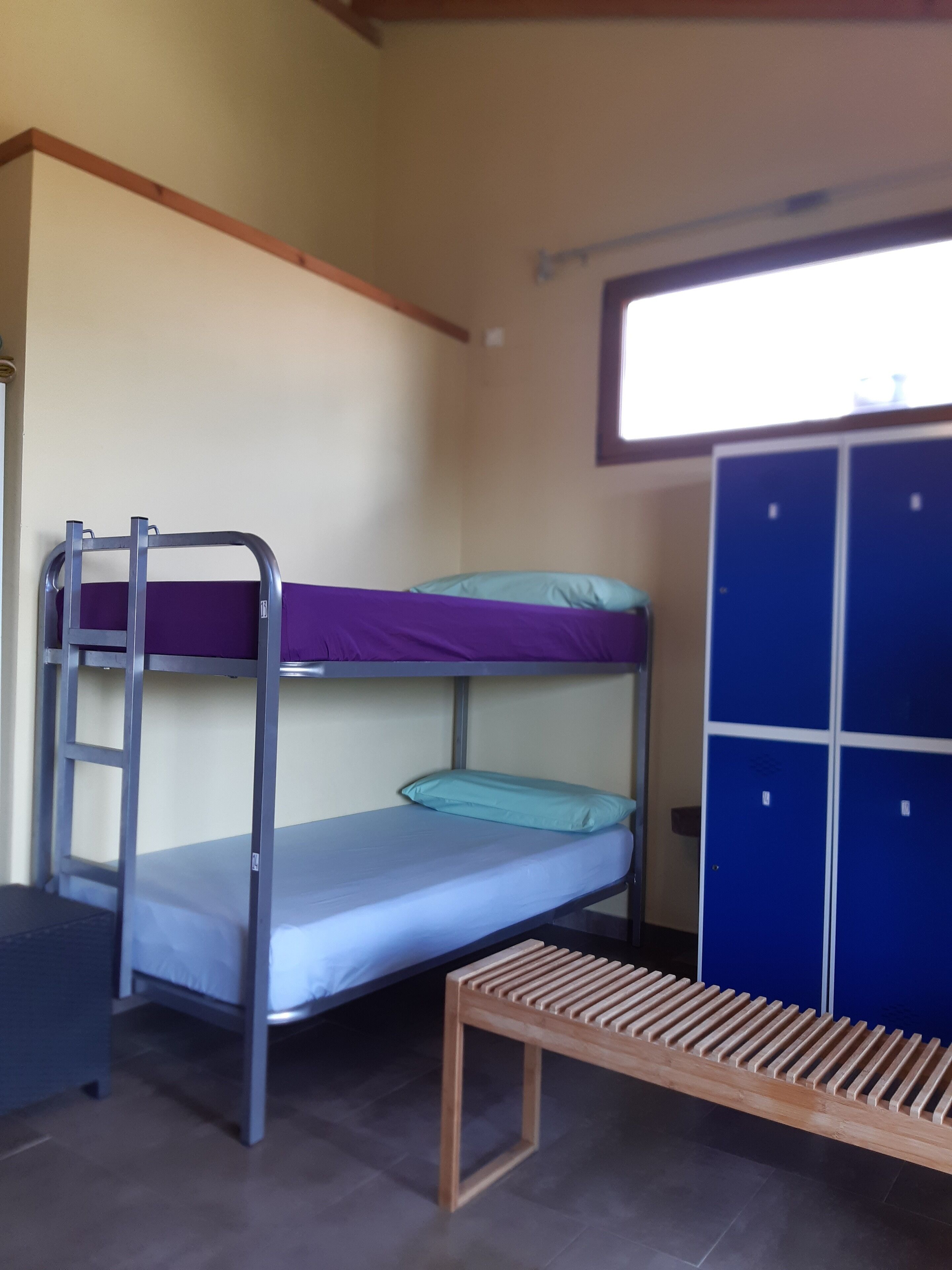 A bunk bed with a ladder, a small wooden bench, and blue lockers.