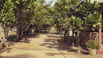 Jardines del alojamiento