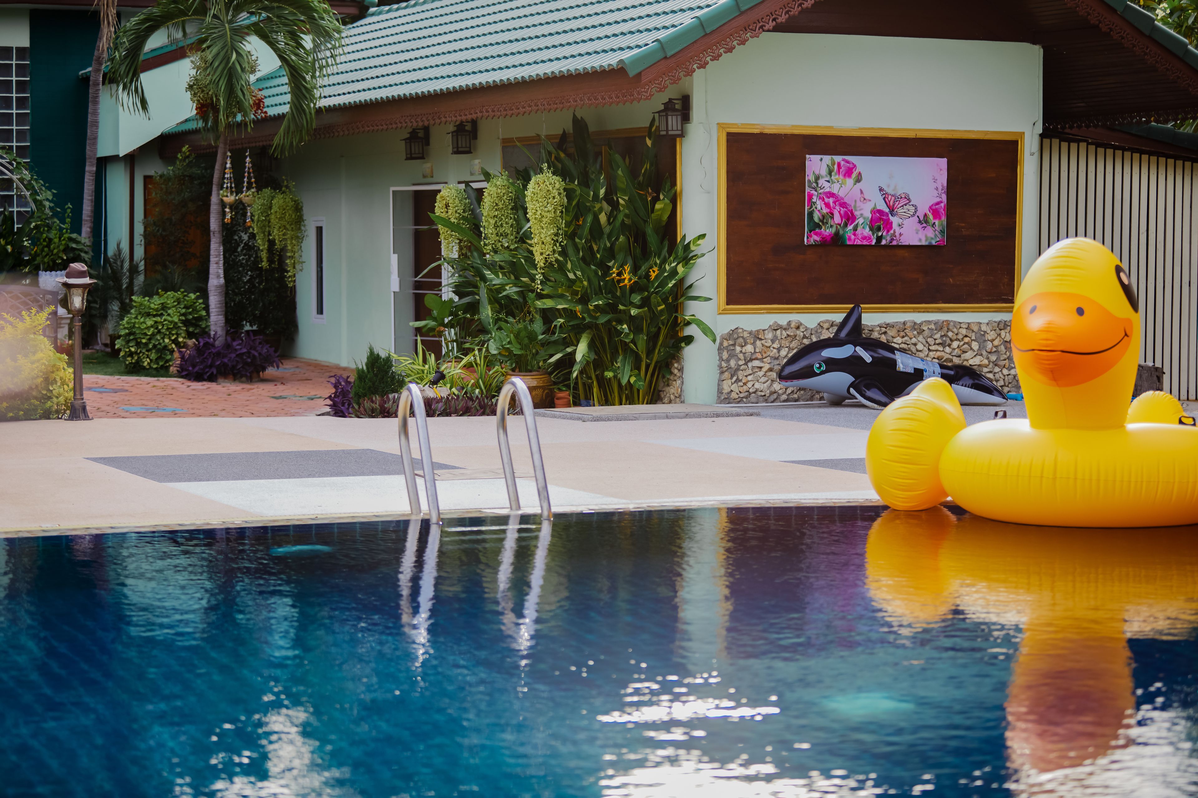 Une piscine avec un canard gonflable jaune, entourée de plantes tropicales et bordée d’un bâtiment dont le toit est recouvert de tuiles.