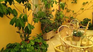 Terraza o patio