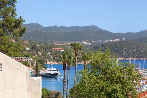 Servicio de la propiedad