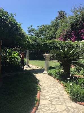 Jardin