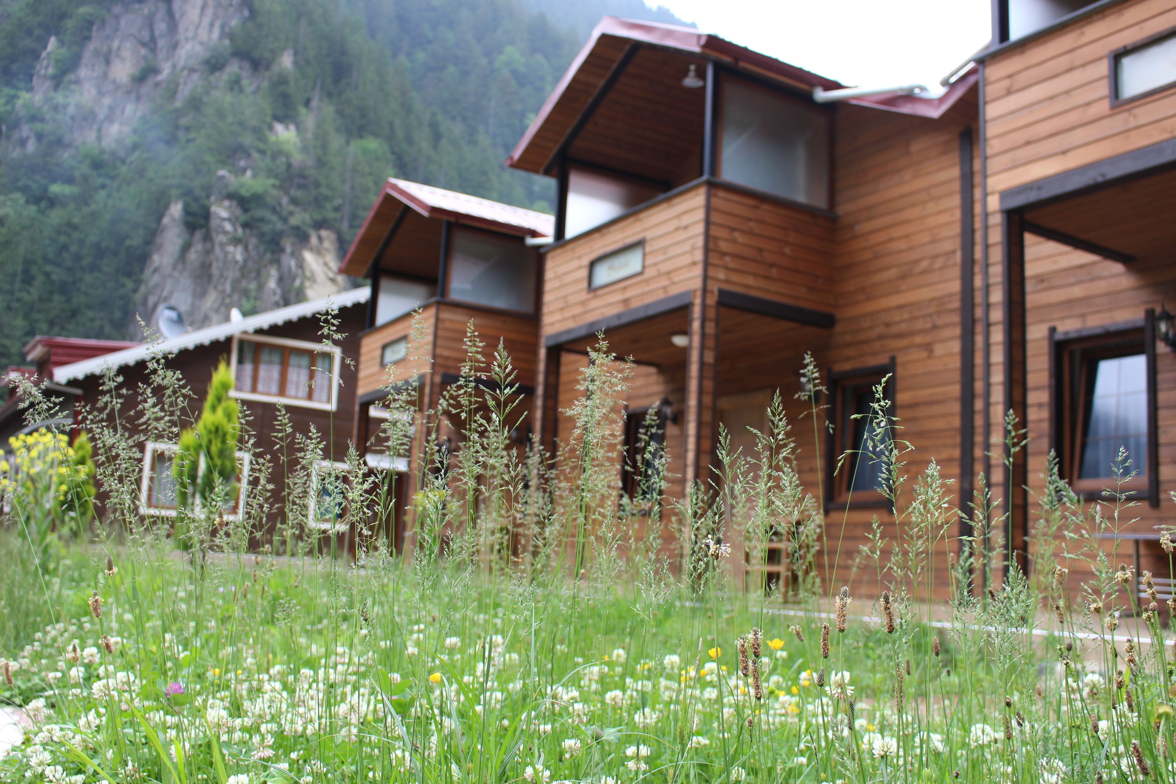 Vue sur le jardin