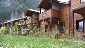 Vue sur le jardin
