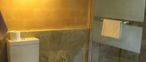 Een badkamer met toilet, bidet en douchecabine met glazen wanden.