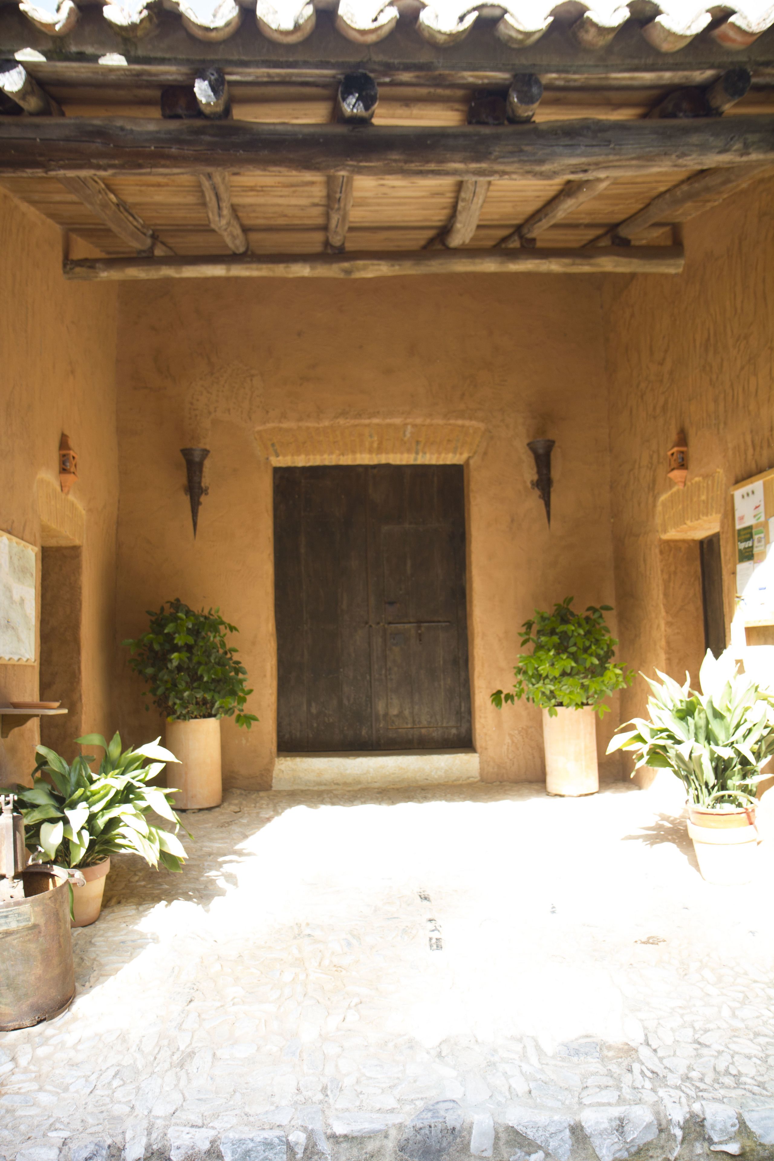 A rustic entrance with a wooden door, potted plants, and a stone floor.