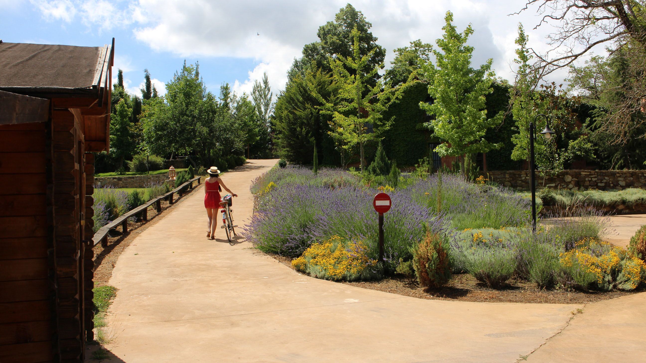 A woman in a red dress walking a bicycle on a paved path surrounded by a garden with various plants and flowers.