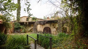 Un bâtiment rustique en pierre, doté d’une porte en bois, entouré d’une végétation luxuriante et accessible par un sentier en bois qui mène à un banc.