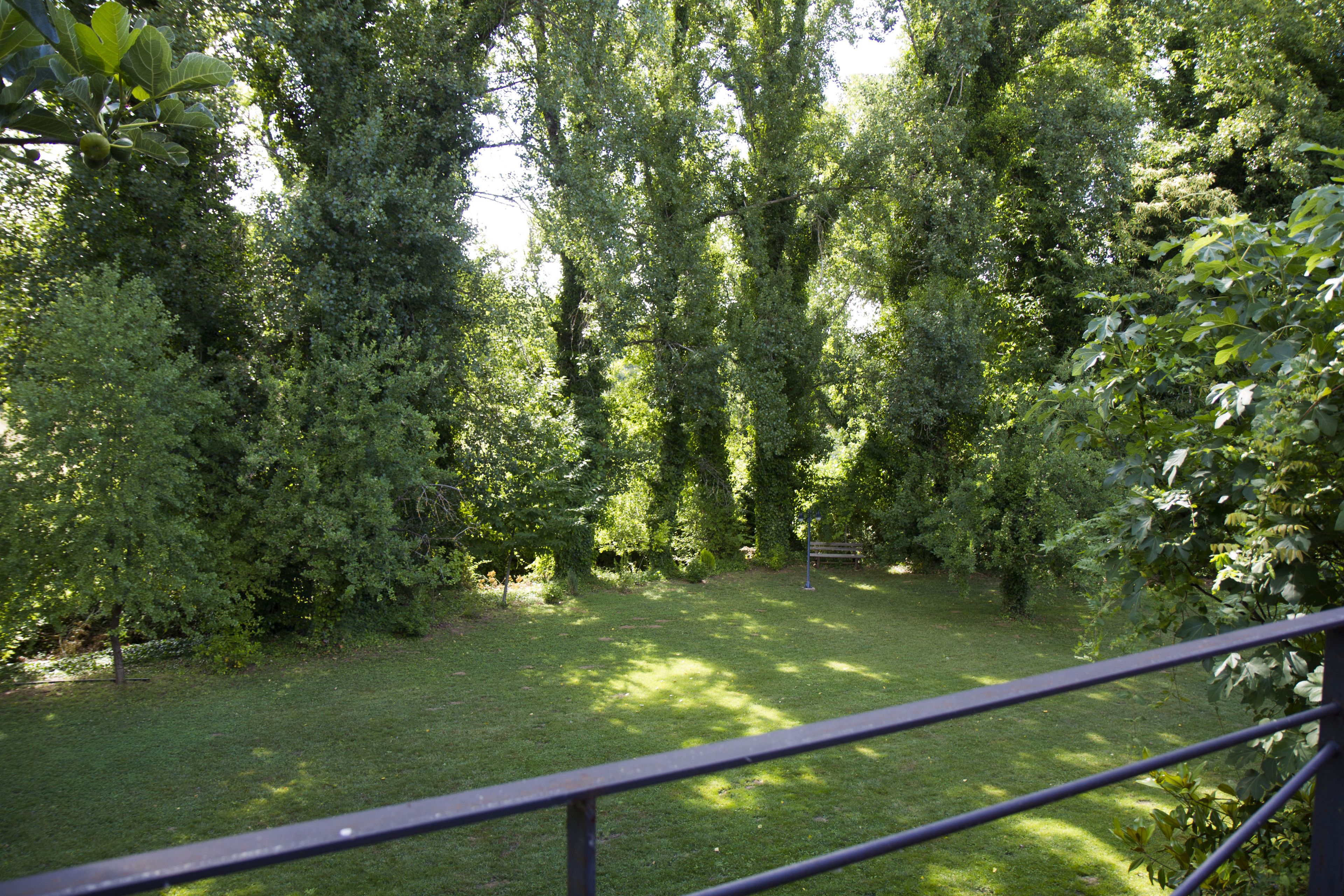 Un jardín exuberante con follaje denso y una zona de césped.