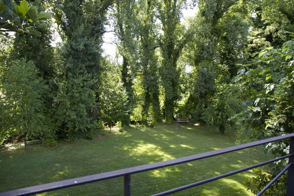 Un jardín exuberante con follaje denso y una zona de césped.