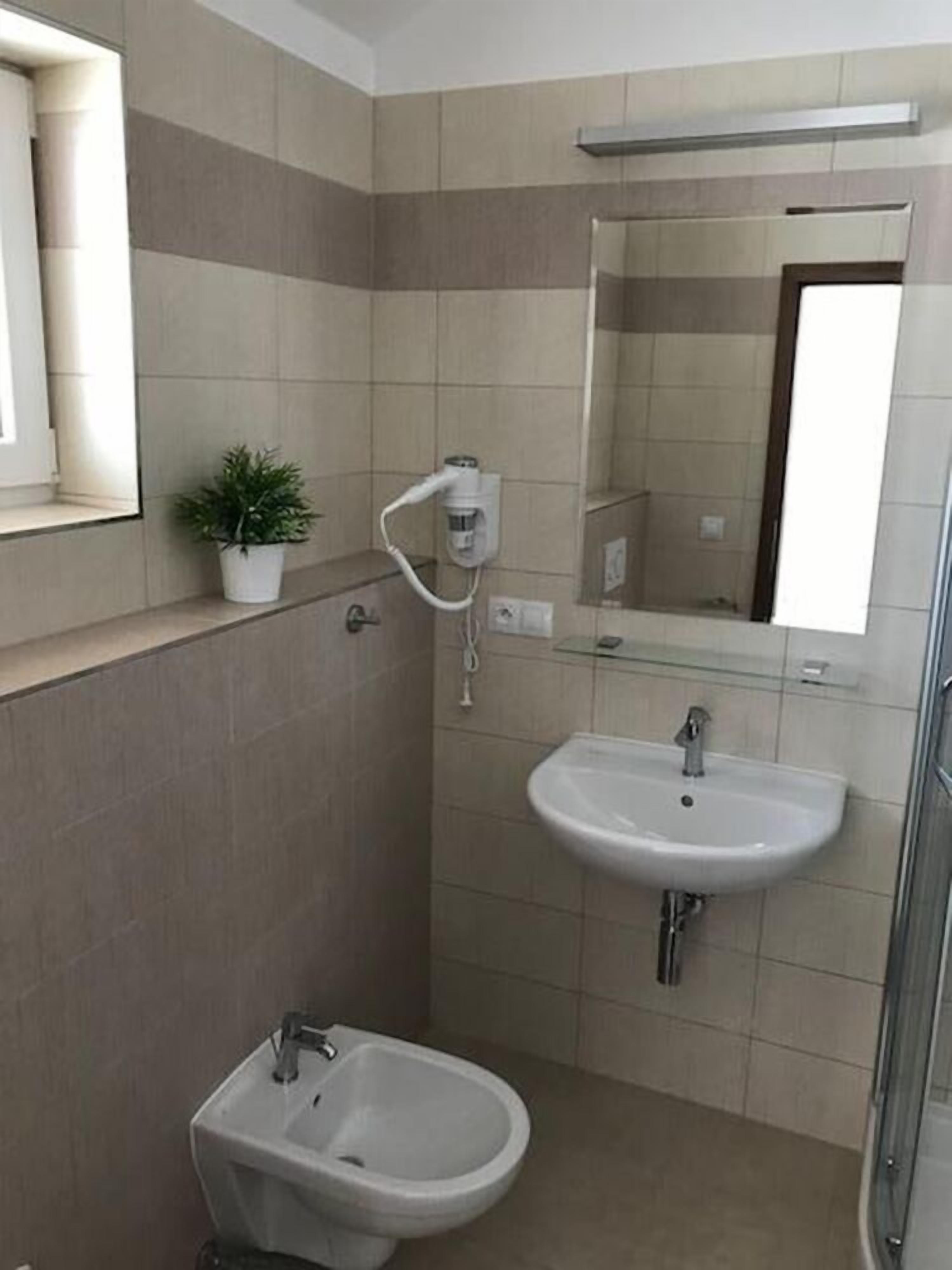 A bathroom with a bidet, a sink, a mirror, and a potted plant.