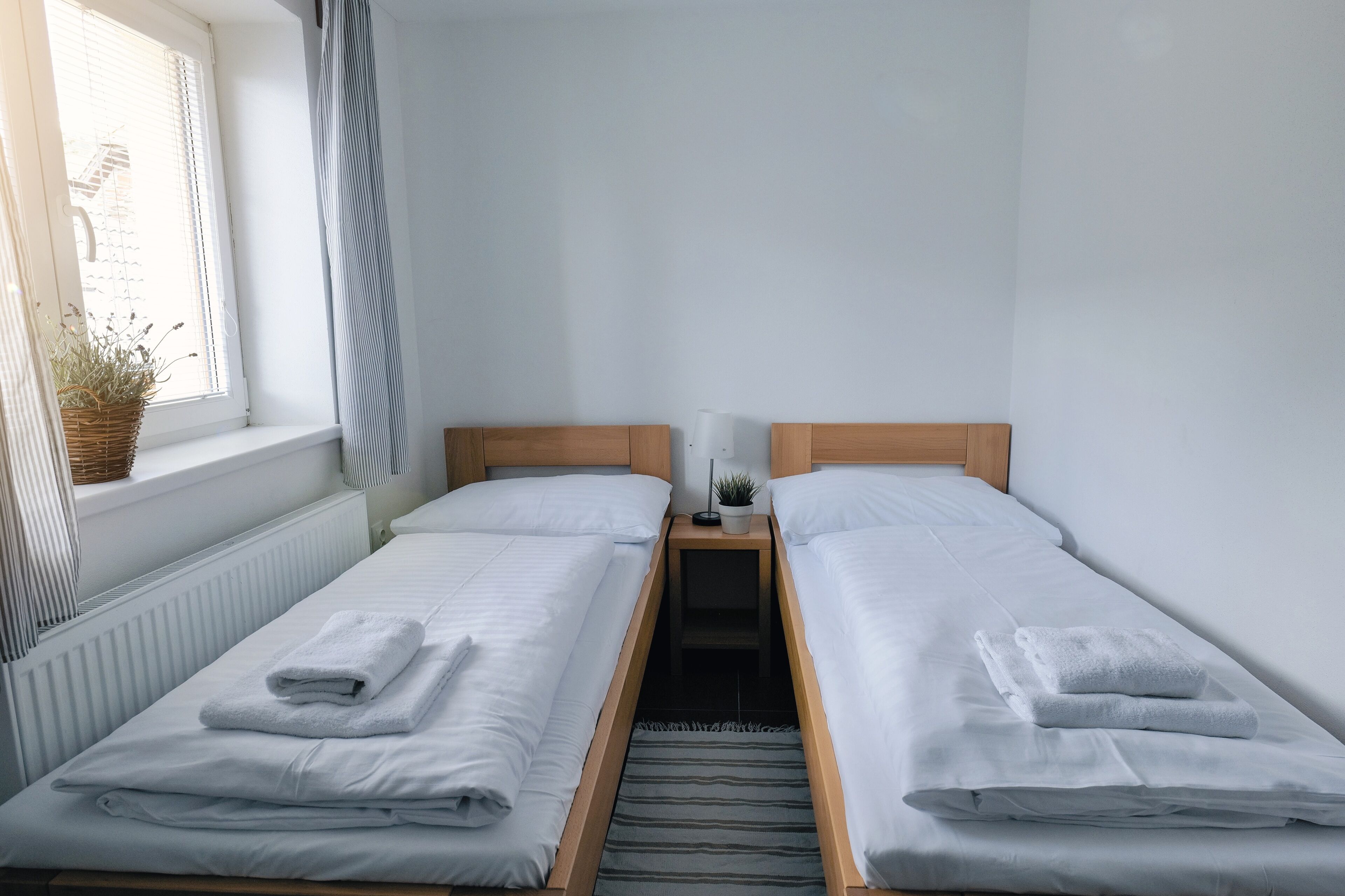 Ein Doppelzimmer mit zwei Betten, einem Fenster mit Jalousien, einem Nachttisch mit Lampe und einer kleinen Pflanze.