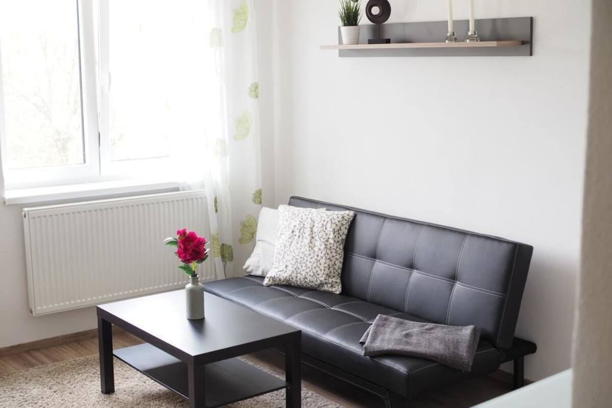 A modern living room with a black leather sofa, a wooden coffee table, and a small potted plant.