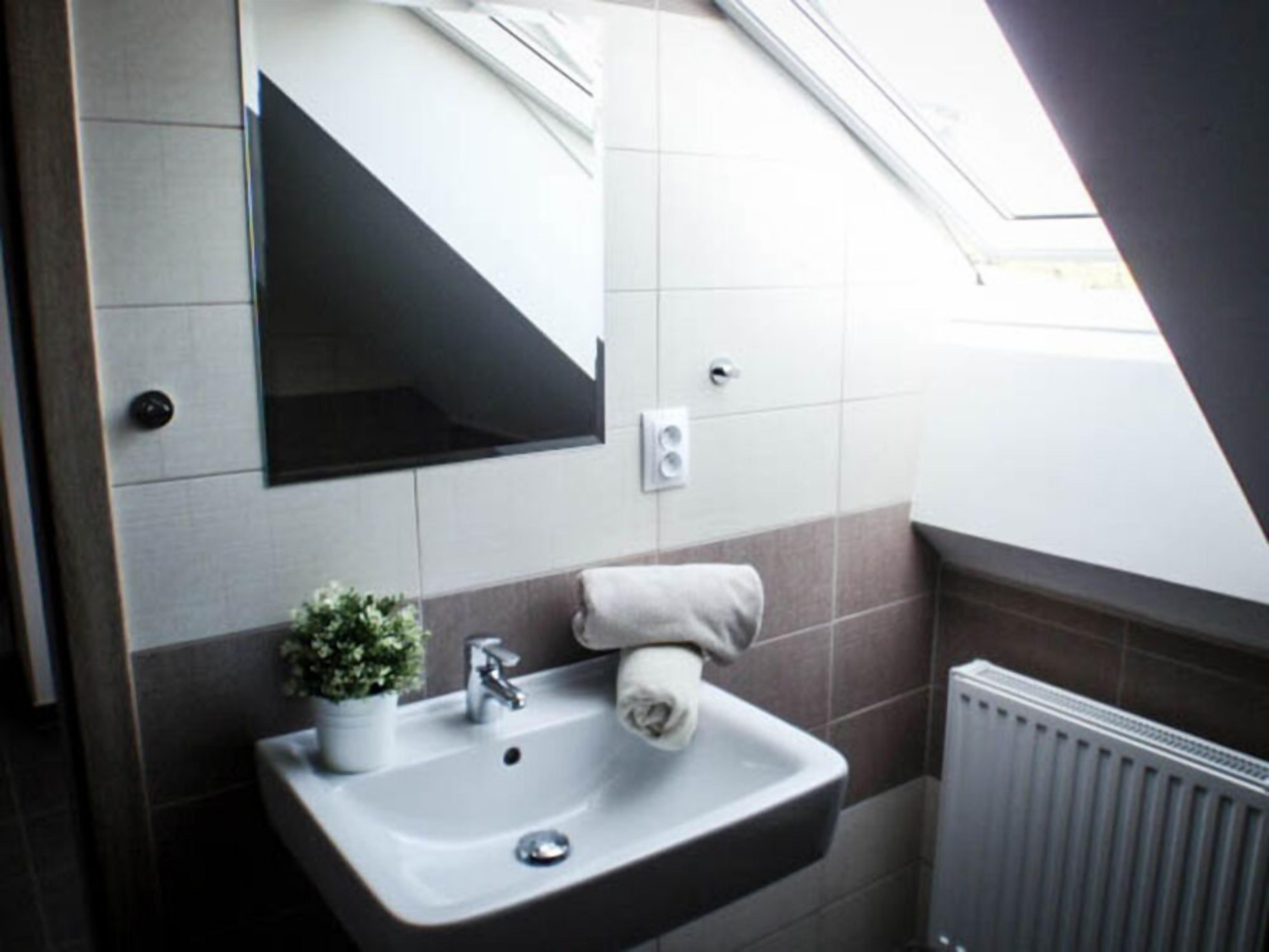 A bathroom with a white sink, a small potted plant, a towel hanging on a hook, and a window above the sink.