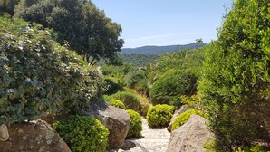 A stone pathway flanked by large rocks and lush greenery, leading through a garden with various plants and trees. - Les Toits de Santa Giulia (Porto-Vecchio)