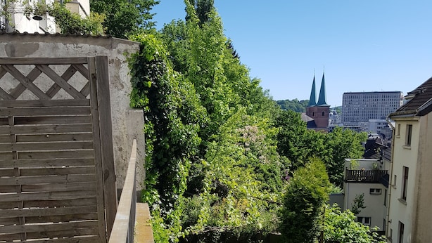 A narrow urban garden with dense foliage, a wooden fence, and a view of a cityscape with buildings and a church spire in the background. - Apartment im Luisenviertel - Grün (Wuppertal)