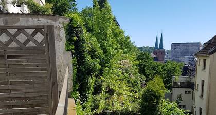 Apartment im Luisenviertel - Grün