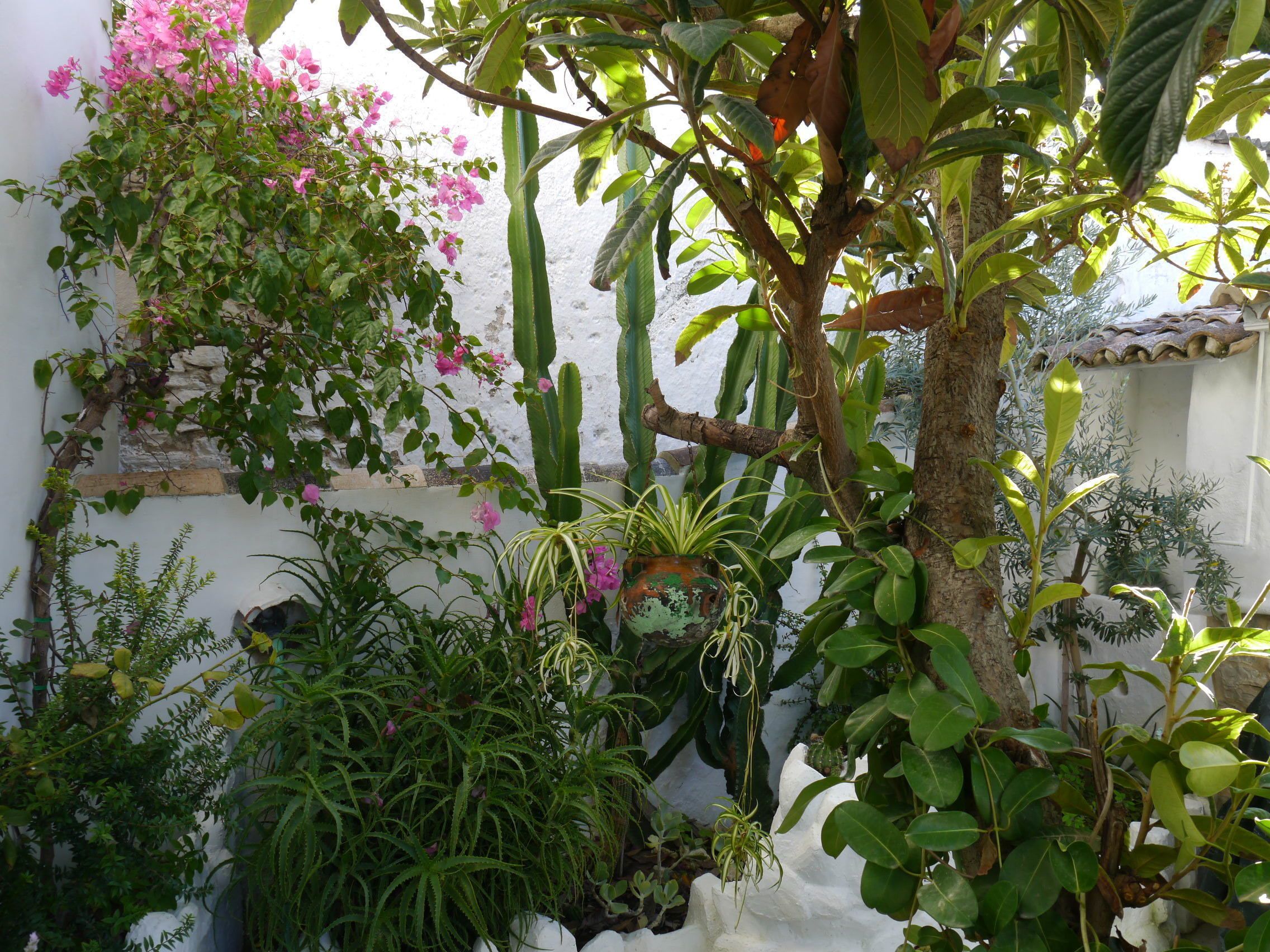 Deluxe tweepersoonskamer, 1 tweepersoonsbed, uitzicht op tuin | Gratis wifi, beddengoed