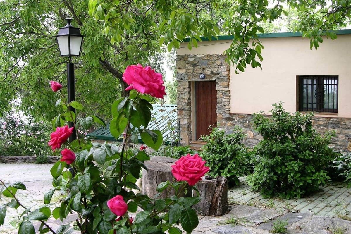 Un bâtiment en pierre doté d’une porte en bois, entouré d’une végétation luxuriante et agrémenté d’un magnifique rosier rouge.