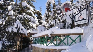 A rural lodging area with snow-covered trees and a stone wall. - Casas Rurales Telecabina Las Catifas (Guejar Sierra)